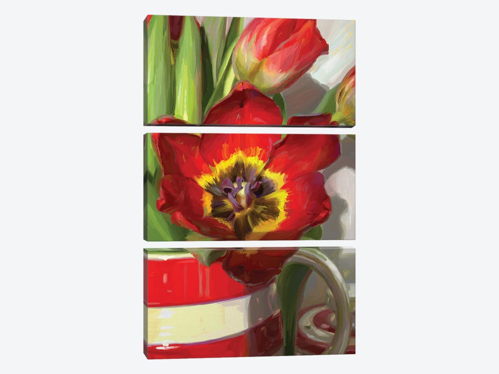 Red Tulip From Amsterdam by Svetlana Zyuzina 3-piece Canvas Art
