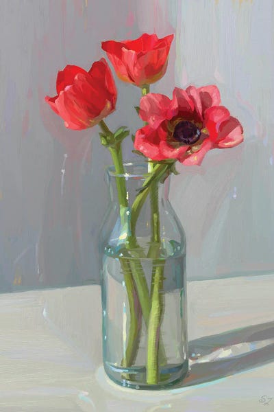 Anemones: Charming Anemone Flowers by Svetlana Zyuzina
