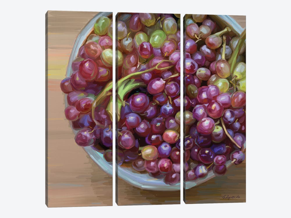 Grape Season by Svetlana Zyuzina 3-piece Canvas Art