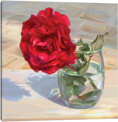 Red Rose Canvas Art Print - Svetlana Zyuzina