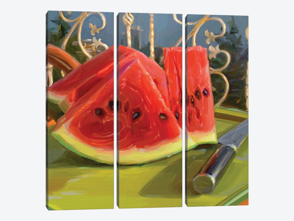 Watermelon Extravaganza by Svetlana Zyuzina 3-piece Canvas Wall Art