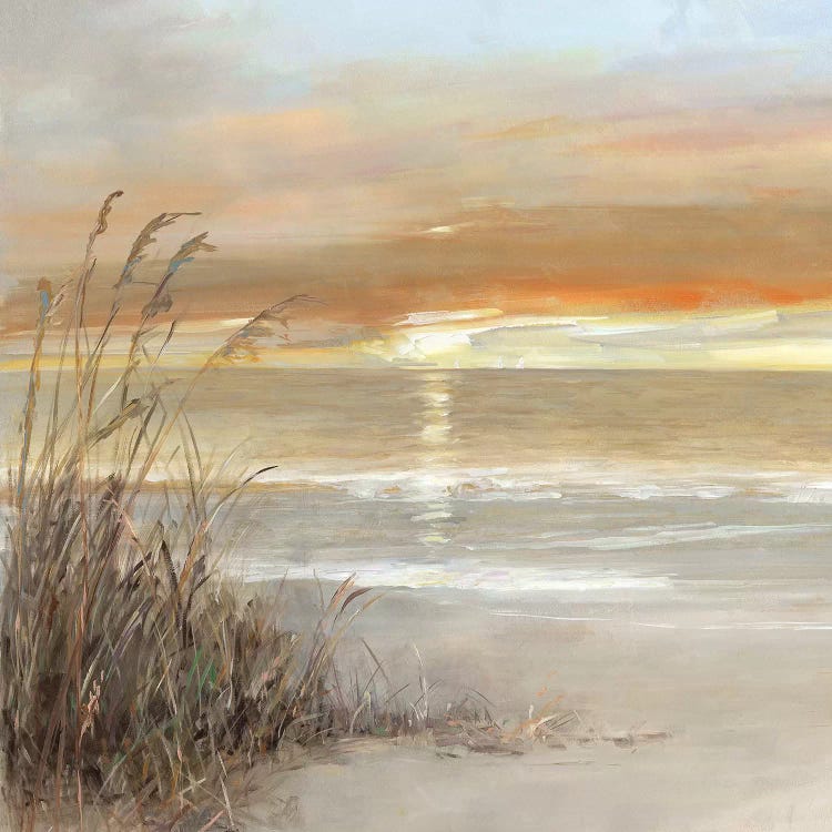 Malibu Sunset by Sally Swatland wall art