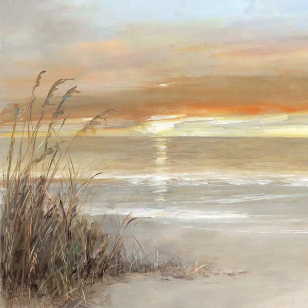 Large Floral & Botanical Art - Canvas Prints: Malibu Sunset II by Sally Swatland