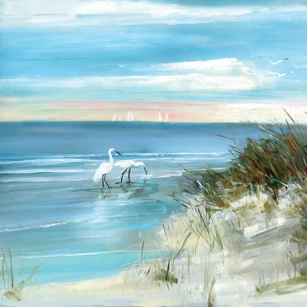 Shore Fishing