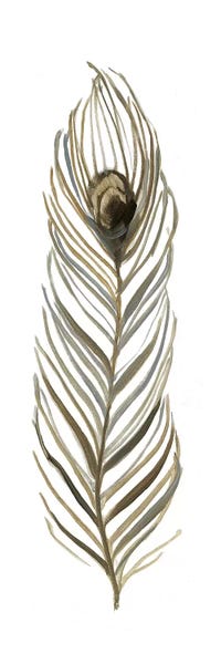 Feathers: Soft Feather II by Sally Swatland