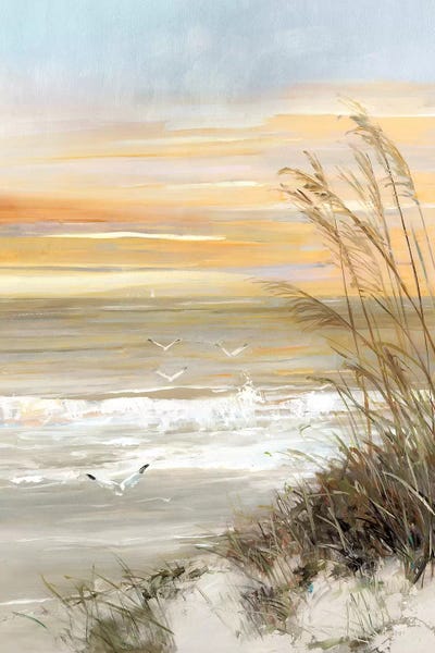 Beach Sunrises & Sunsets: Summer Solstice by Sally Swatland