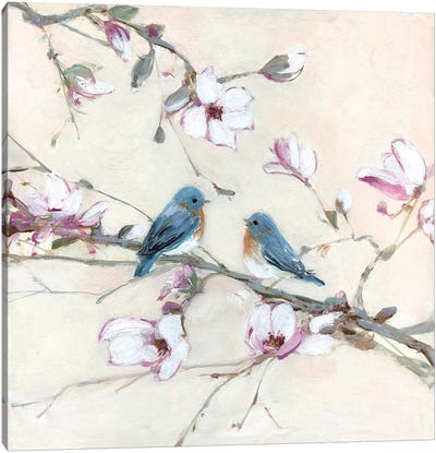 Sweet Sounds of Summer I Canvas Art Print - Magnolias