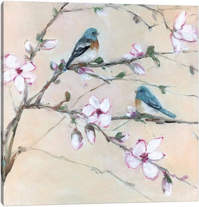 Sweet Sounds of Summer II Canvas Art Print - Magnolias