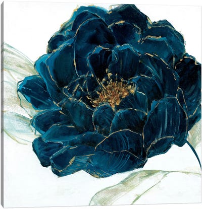 Velvet Bloom Canvas Art Print - Sally Swatland