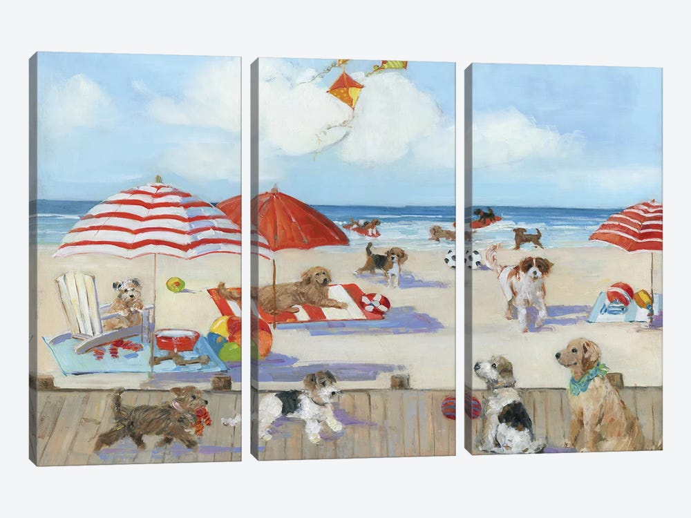 Beach Bark Park II by Sally Swatland 3-piece Canvas Artwork