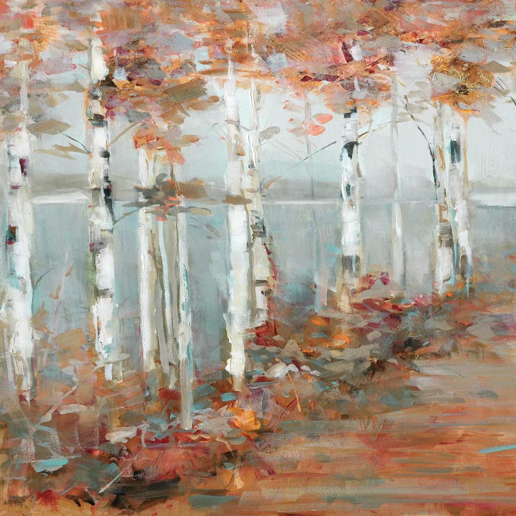 Birch Walk I