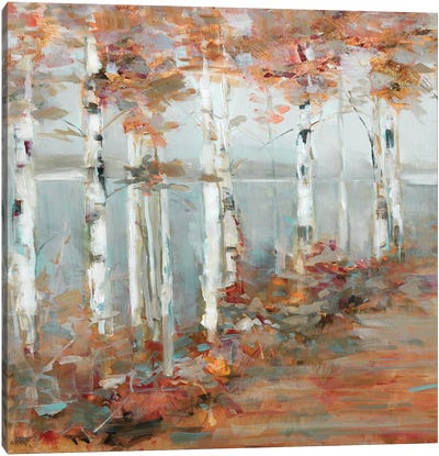 Birch Walk I Canvas Art Print - Rustic Décor