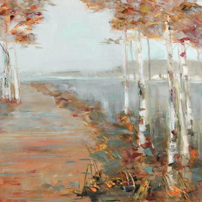 Birch Walk II by Sally Swatland acrylic art print