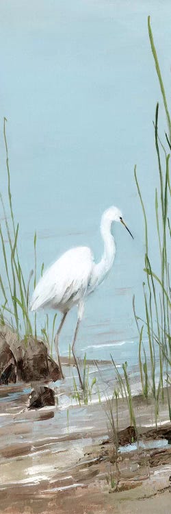 Island Egret I