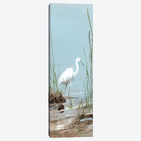 Island Egret I Canvas Print #SWA140} by Sally Swatland Canvas Wall Art