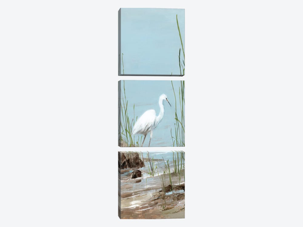 Island Egret I 3-piece Canvas Artwork