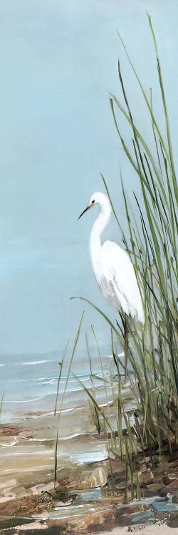 Island Egret II Canvas Wall Art by Sally Swatland