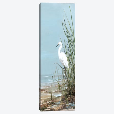 Island Egret II Canvas Print #SWA141} by Sally Swatland Canvas Art