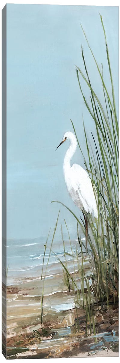 Island Egret II Canvas Art Print - Coastal Living Room Art