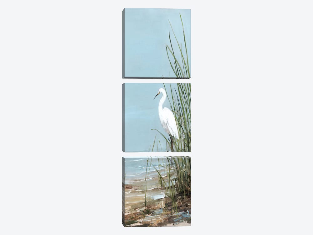 Island Egret II by Sally Swatland 3-piece Art Print
