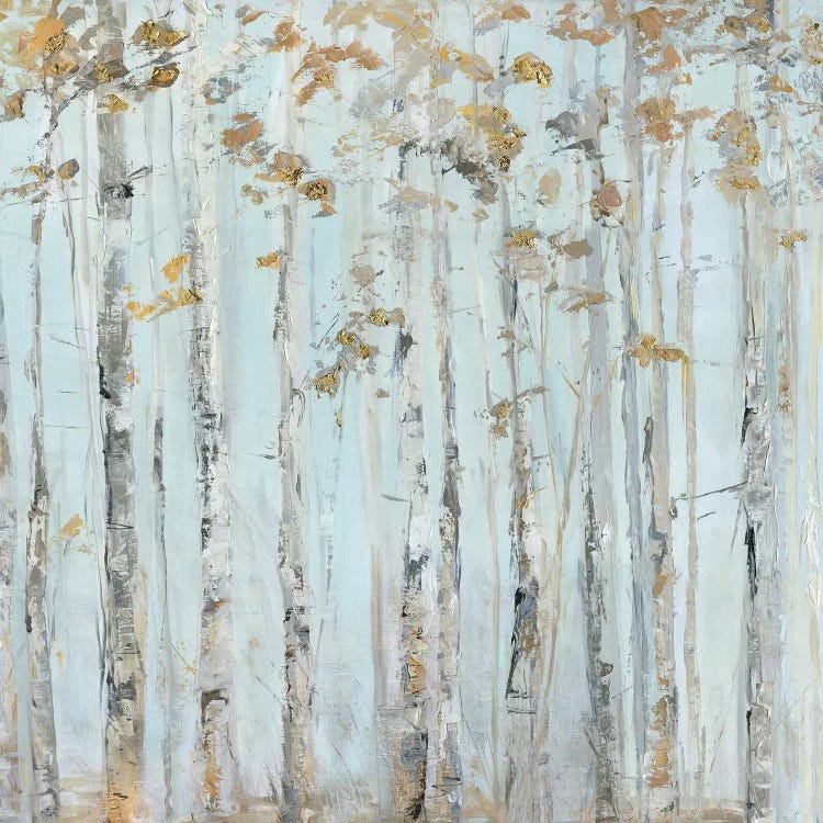 Soft Birch Forest