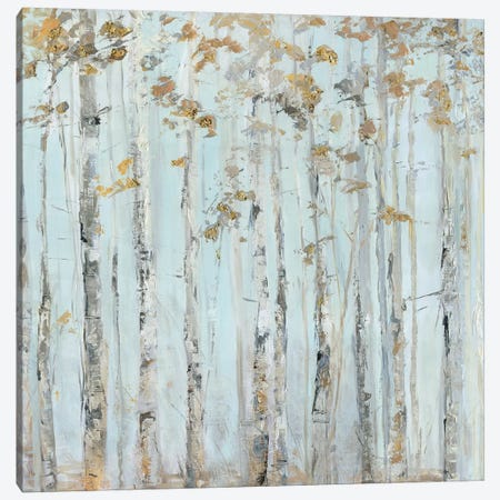 Soft Birch Forest Canvas Print #SWA150} by Sally Swatland Canvas Print