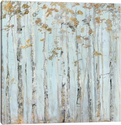 Soft Birch Forest Canvas Art Print - Sally Swatland