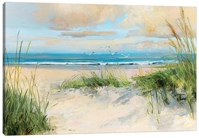 Catching the Wind Canvas Art Print - Sandy Beach Art