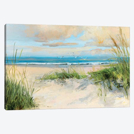 Catching the Wind Canvas Print #SWA160} by Sally Swatland Canvas Artwork