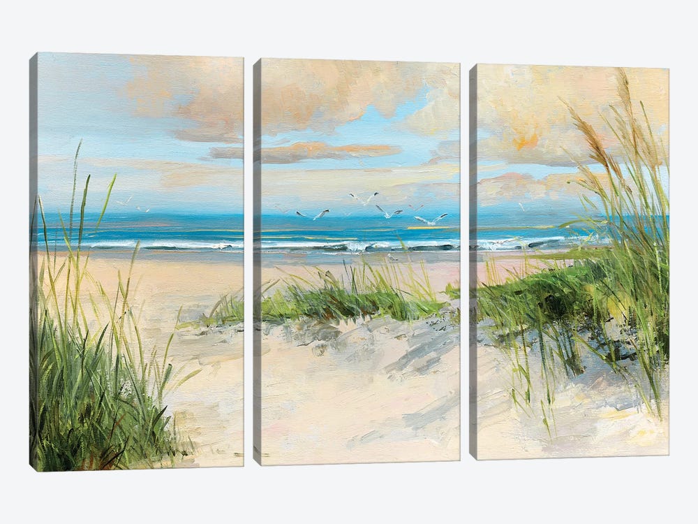 Catching the Wind by Sally Swatland 3-piece Canvas Artwork