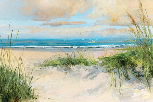Grasses: Catching the Wind by Sally Swatland