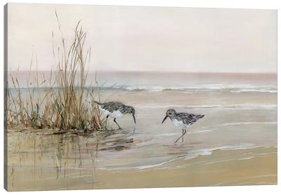 Early Risers I Canvas Art Print - 3-Piece Beach Art