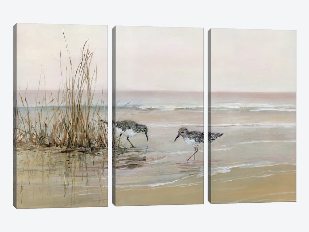 Early Risers I by Sally Swatland 3-piece Canvas Art