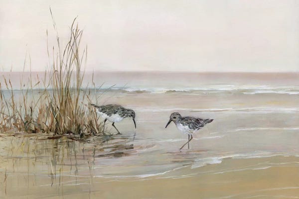 Grasses