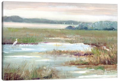 Early Morning Magic Canvas Art Print - Marsh & Swamp Art