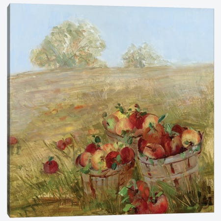 Apple Picking I Canvas Print #SWA18} by Sally Swatland Canvas Art Print