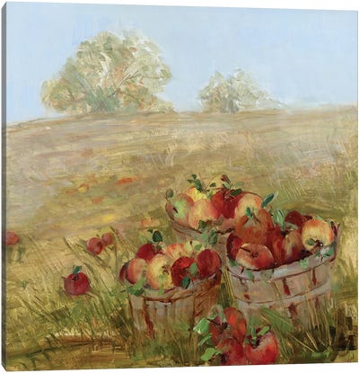 Apple Picking I Canvas Art Print - Apple Trees
