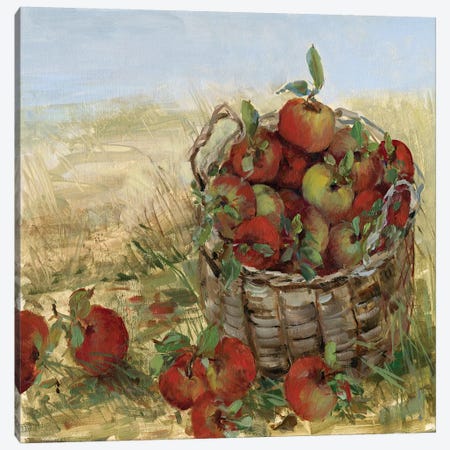 Apple Picking II Canvas Print #SWA19} by Sally Swatland Canvas Art Print