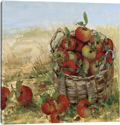 Apple Picking II Canvas Art Print - Apple Tree Art