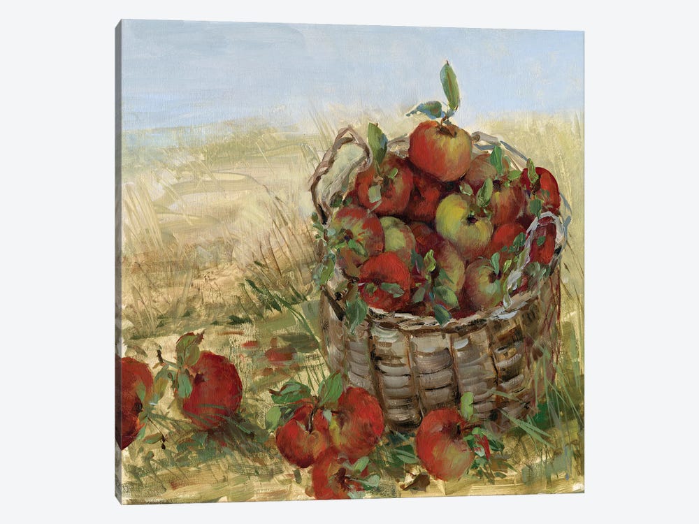 Apple Picking II by Sally Swatland 1-piece Canvas Print