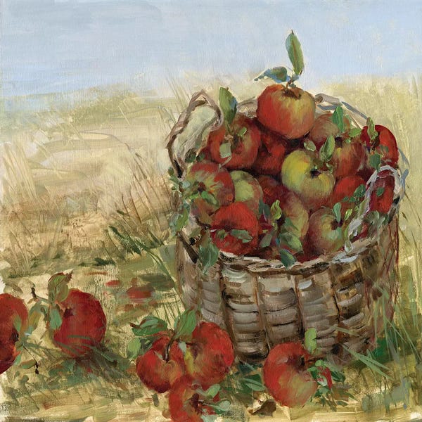 Apple Trees: Apple Picking II by Sally Swatland