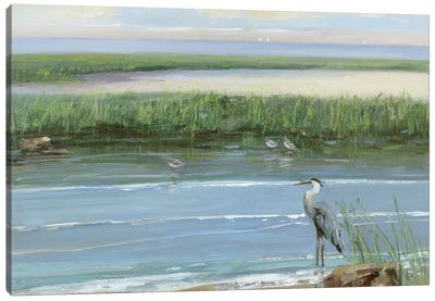 Wading at Dusk Canvas Art Print - Marsh & Swamp Art