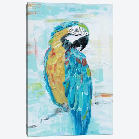 Island Parrot I Canvas Print #SWA202} by Sally Swatland Art Print