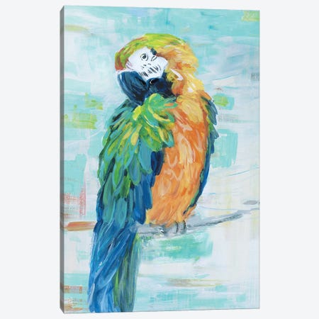 Island Parrot II Canvas Print #SWA203} by Sally Swatland Art Print