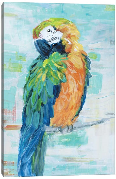 Island Parrot II Canvas Art Print - Sally Swatland