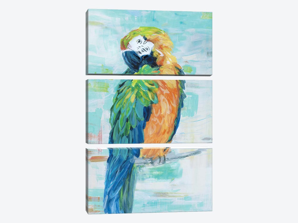 Island Parrot II by Sally Swatland 3-piece Canvas Print