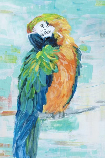 Parrots: Island Parrot II by Sally Swatland