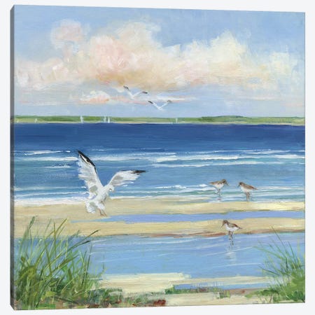 Beach Combing I Canvas Print #SWA204} by Sally Swatland Canvas Wall Art