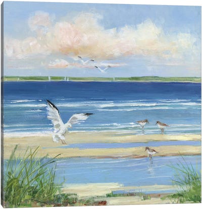 Beach Combing I Canvas Art Print - Gull & Seagull Art