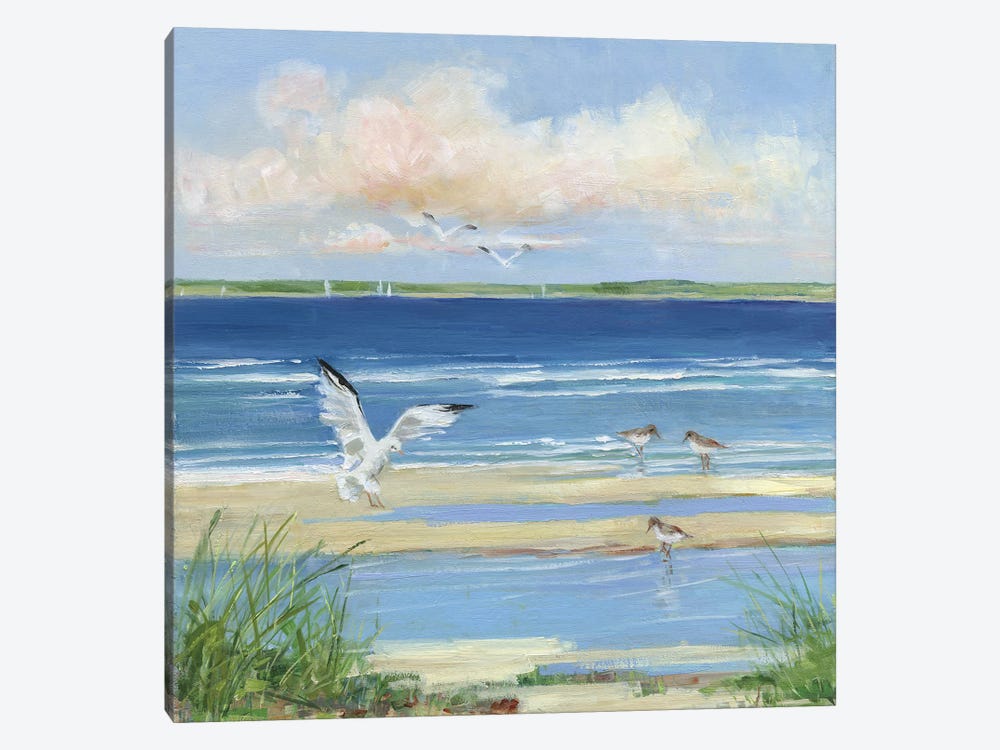 Beach Combing I by Sally Swatland 1-piece Canvas Artwork